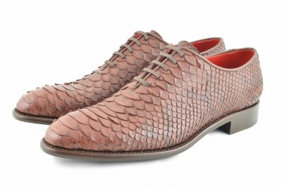 serpiesnte marron dos4
